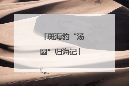 斑海豹“汤圆”归海记