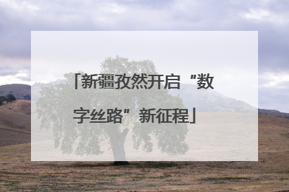 新疆孜然开启“数字丝路”新征程