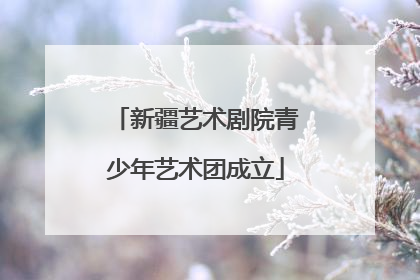 新疆艺术剧院青少年艺术团成立