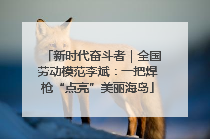 新时代奋斗者｜全国劳动模范李斌：一把焊枪“点亮”美丽海岛