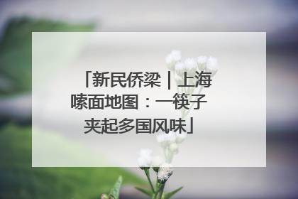 新民侨梁｜上海嗦面地图：一筷子夹起多国风味