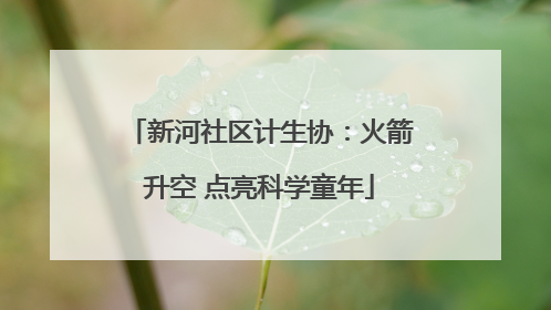 新河社区计生协：火箭升空 点亮科学童年