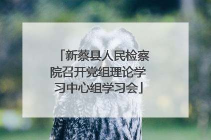 新蔡县人民检察院召开党组理论学习中心组学习会