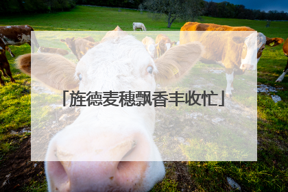 旌德麦穗飘香丰收忙