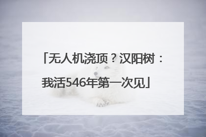 无人机浇顶？汉阳树：我活546年第一次见