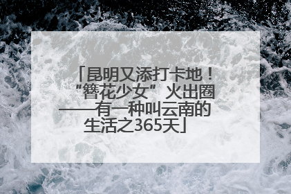 昆明又添打卡地！“簪花少女”火出圈——有一种叫云南的生活之365天