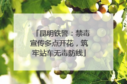 昆明铁警：禁毒宣传多点开花，筑牢站车无毒防线