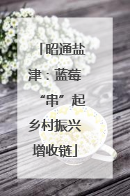 昭通盐津：蓝莓“串”起乡村振兴增收链