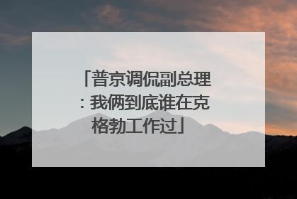 普京调侃副总理：我俩到底谁在克格勃工作过