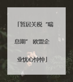 暂居关税“喘息期” 欧盟企业忧心忡忡