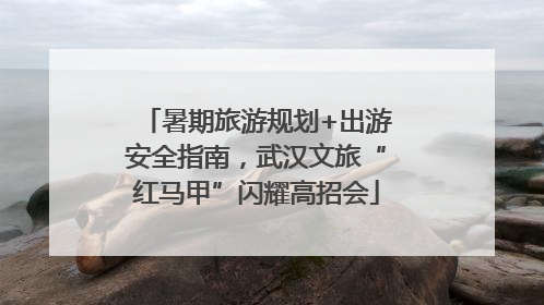 暑期旅游规划+出游安全指南，武汉文旅“红马甲”闪耀高招会