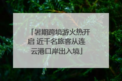 暑期跨境游火热开启 近千名旅客从连云港口岸出入境