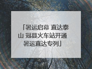 暑运启幕 直达泰山 冠县火车站开通暑运直达专列
