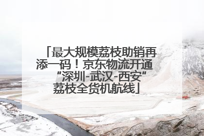 最大规模荔枝助销再添一码！京东物流开通“深圳-武汉-西安” 荔枝全货机航线