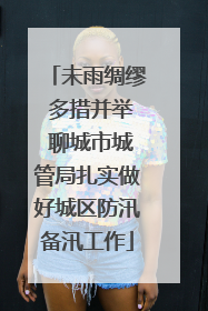 未雨绸缪 多措并举 聊城市城管局扎实做好城区防汛备汛工作