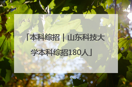 本科综招｜山东科技大学本科综招180人