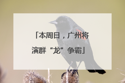 本周日，广州将演群“龙”争霸