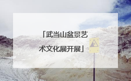 武当山盆景艺术文化展开展