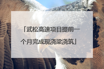 武松高速项目提前一个月完成现浇梁浇筑