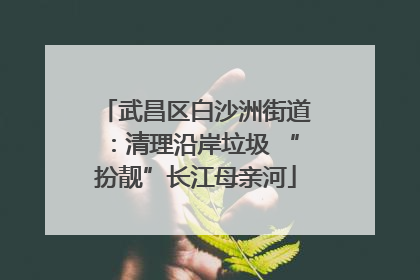 武昌区白沙洲街道：清理沿岸垃圾 “扮靓”长江母亲河