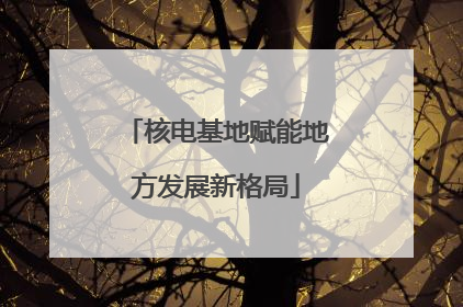 核电基地赋能地方发展新格局