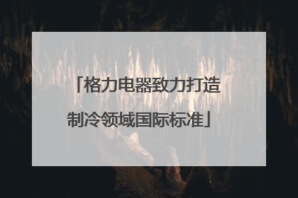 格力电器致力打造制冷领域国际标准