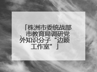 株洲市委统战部、市教育局调研党外知识分子“边颖工作室”