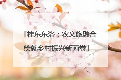 桂东东洛：农文旅融合绘就乡村振兴新画卷