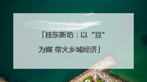 桂东新坊：以“豆”为媒 带火乡域经济