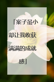案子虽小却让我收获满满的成就感
