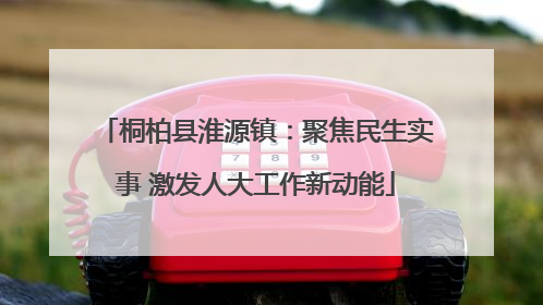 桐柏县淮源镇：聚焦民生实事 激发人大工作新动能
