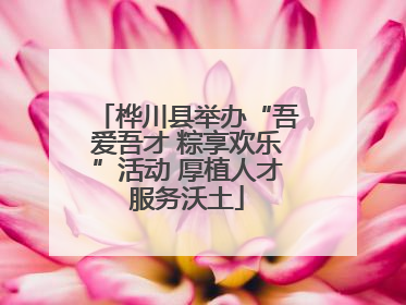 桦川县举办“吾爱吾才 粽享欢乐”活动 厚植人才服务沃土