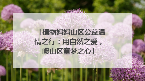 植物妈妈山区公益温情之行：用自然之爱，暖山区童梦之心
