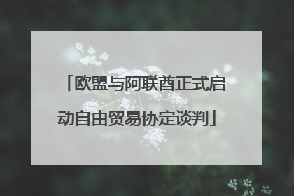 欧盟与阿联酋正式启动自由贸易协定谈判