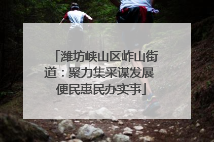 潍坊峡山区岞山街道：聚力集采谋发展 便民惠民办实事
