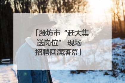 潍坊市“赶大集 送岗位” 现场招聘圆满落幕