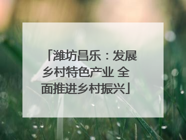 潍坊昌乐：发展乡村特色产业 全面推进乡村振兴