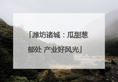 潍坊诸城：瓜甜葱郁处 产业好风光