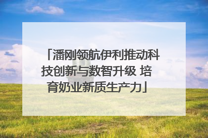 潘刚领航伊利推动科技创新与数智升级 培育奶业新质生产力