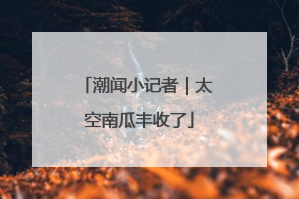 潮闻小记者｜太空南瓜丰收了