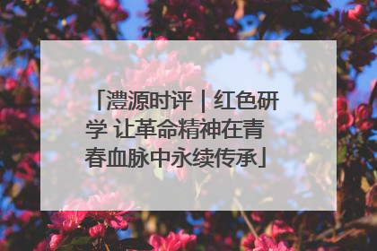 澧源时评｜红色研学 让革命精神在青春血脉中永续传承