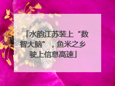 水韵江苏装上“数智大脑”，鱼米之乡驶上信息高速