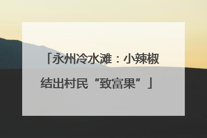 永州冷水滩：小辣椒结出村民“致富果”