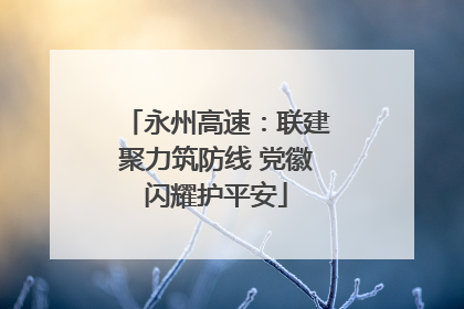 永州高速：联建聚力筑防线 党徽闪耀护平安