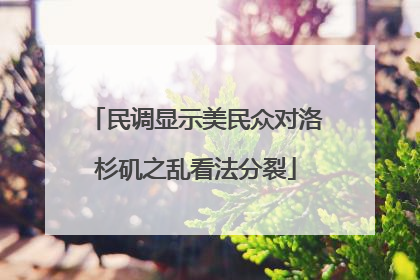 民调显示美民众对洛杉矶之乱看法分裂