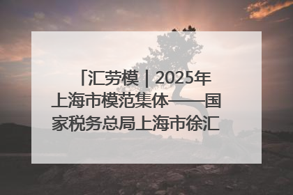 汇劳模｜2025年上海市模范集体——国家税务总局上海市徐汇区税务局第一税务所