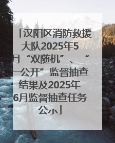 汉阳区消防救援大队2025年5月“双随机”、“一公开”监督抽查结果及2025年6月监督抽查任务公示