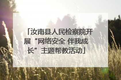 汝南县人民检察院开展“网络安全 伴我成长”主题帮教活动