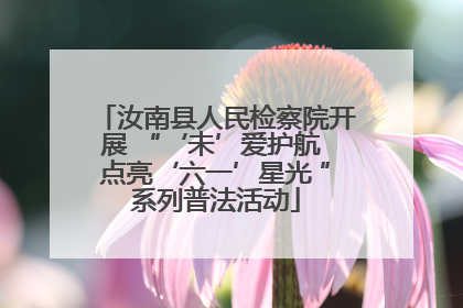 汝南县人民检察院开展 “‘未’爱护航 点亮‘六一’星光 ”系列普法活动