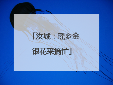 汝城：瑶乡金银花采摘忙